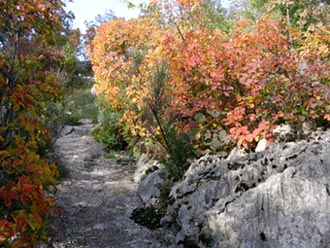 Un angolo di Carsiana in autunno